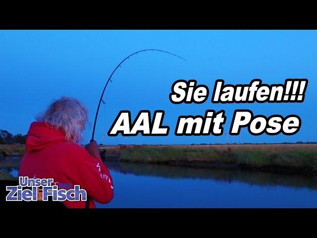 Erfolgreich auf AAL mit POSE - Angeln lernen mit Jörg Ovens - Unser Ziel ist Fisch - Folge 21