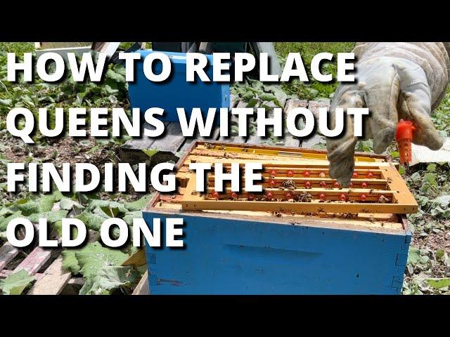 How to replace queens without finding the old one