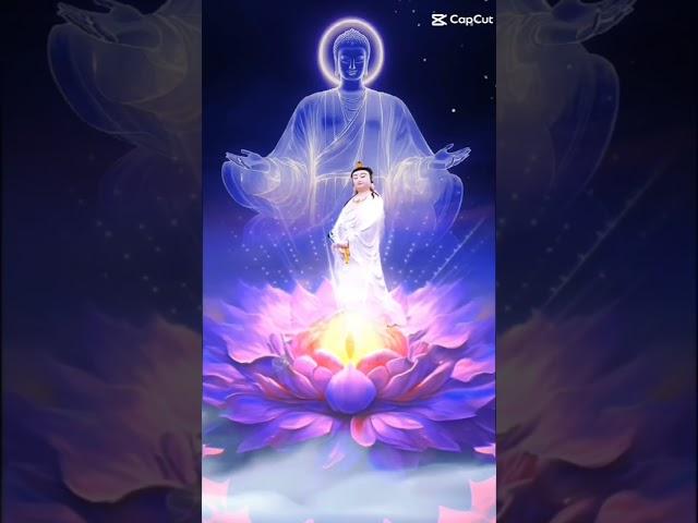 관세음보살 가피  (영인스님) 지금 힘들고 괴로우면 관세음보살 을 불러라