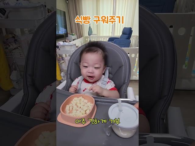 식빵 구워주기(살짝)#429일#아기 #아기동영상 #아기여워 #baby #육아일기 #shorts