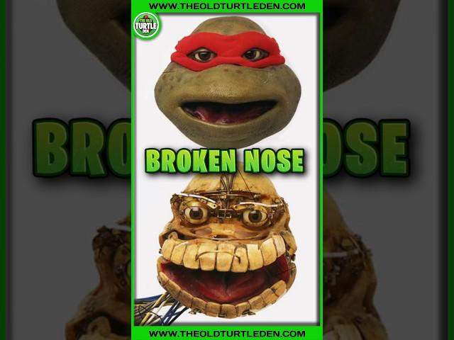 TMNT Raphael Breaks Nose