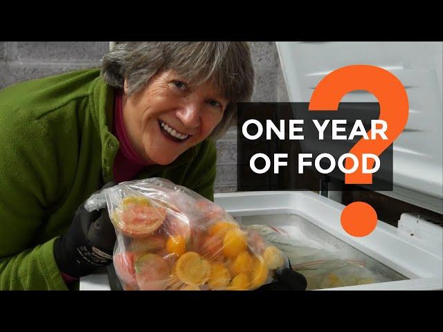 Can I Grow Enough Food to Feed my Family for 1 Year? | Self Sufficiency and Food Security