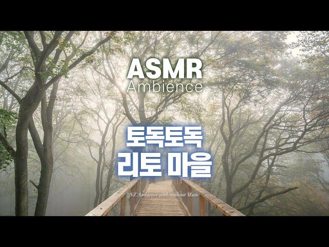 모험의 주인공, 바로 당신의 이야기젤다의 전설, 비내리는 안개 속 [리토 마을] ASMR /공부할 때, 자기전에 듣는 앰비언스