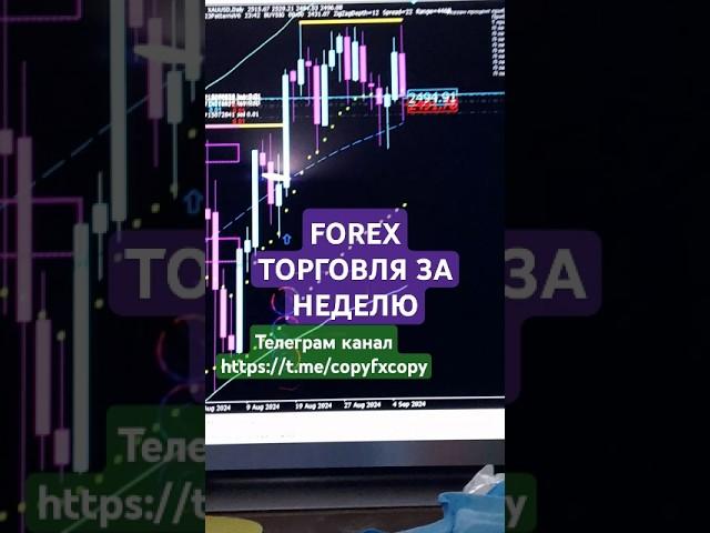 Прибыль на реальных счетах #forex #trading #traders #форекс #скальпинг #трейдинг