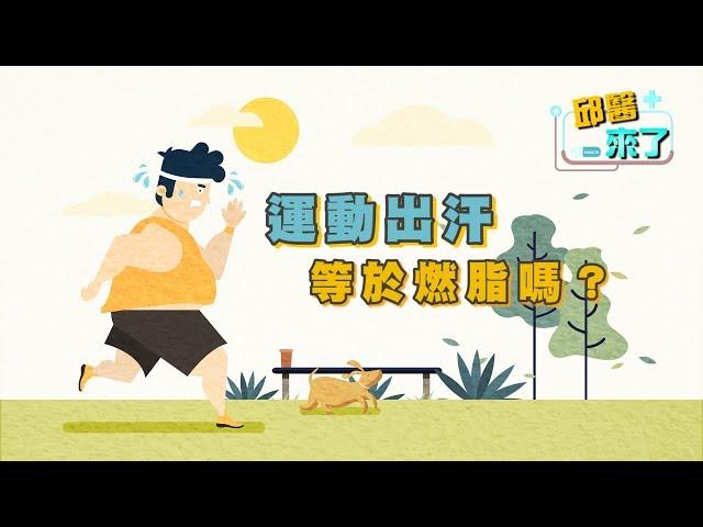 【邱醫來了】運動出汗等於燃脂嗎？