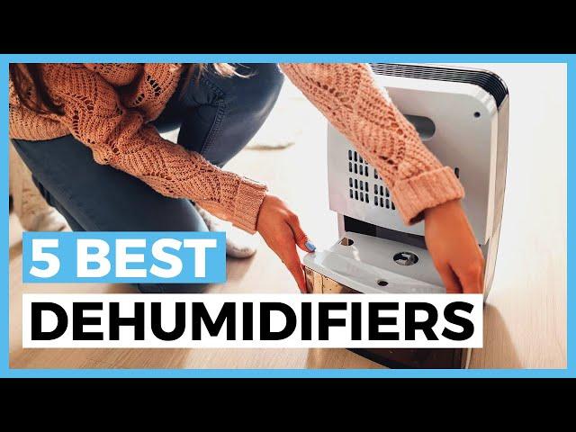 Best Dehumidifiers in 2025 - How to Choose a Dehumidifier to Improve Your Air Quality?