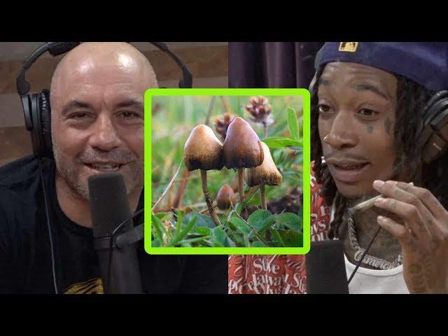 Wiz Khalifa Talks About Tripping on Mushrooms