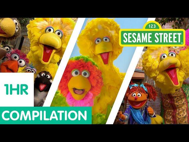 Sesame Street: The Best of Big Bird Compilation | 1 hour!