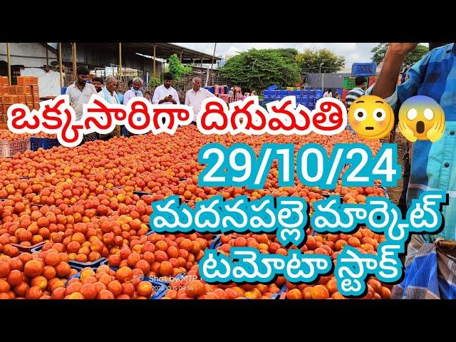 29-10-24 Madanapalle Tomato Market price Today || Today Tomato Market Rate in Madanapalle #today