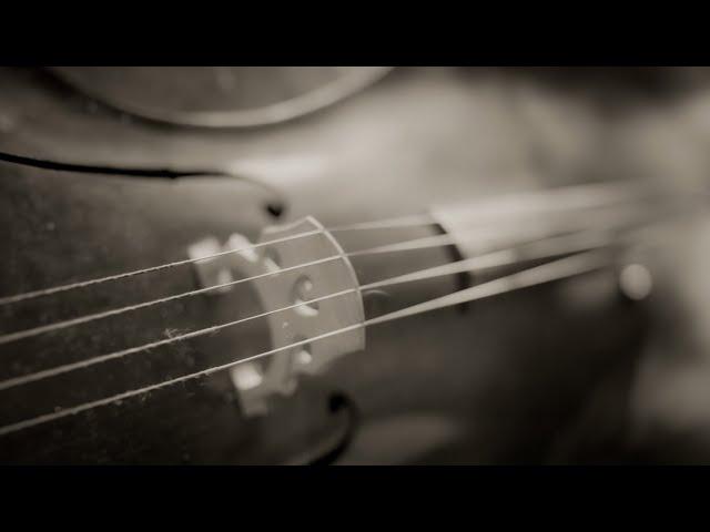 Pure Cello for Unsettled Times, music for comfort, processing, sleep and meditation