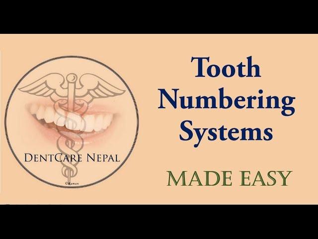 Tooth Numbering Systems Made Easy - Dentistry