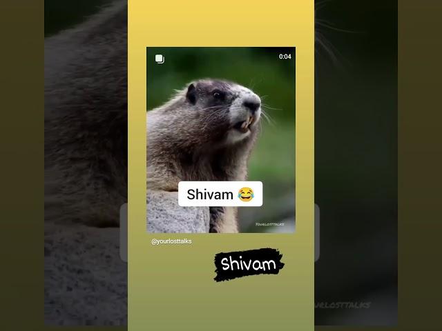 #Shivam ️