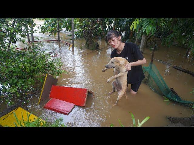 Farm cleanup after typhoon yagi and record flooding - Eat papaya, banana and fishing