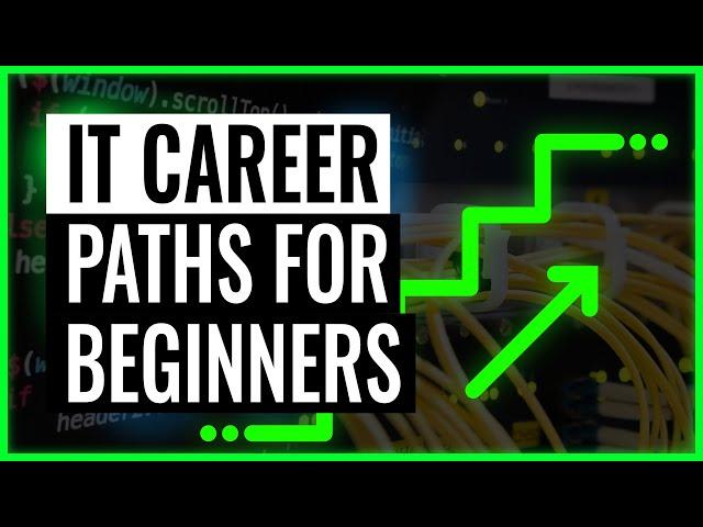 IT career paths - the best for beginners