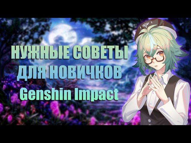 Очень Важные Советы Для Новичков в Genshin Impact