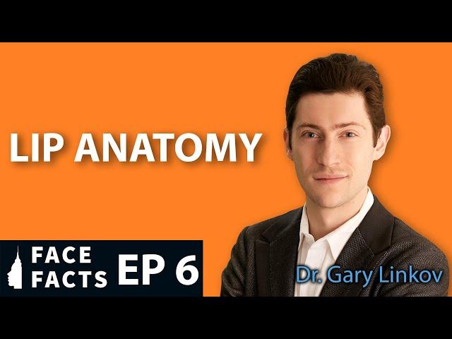 The Secret of Beautiful Lips - Lip Anatomy - Dr. Gary Linkov