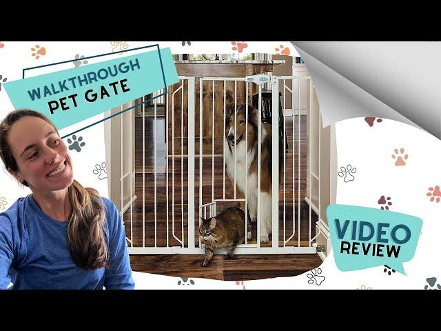 Walkthrough Pet Gate with Cat Door