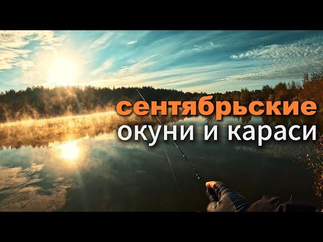 Осенний клёв: Успешно ловлю КАРАСЯ. ЖОР ОКУНЯ на Живописном озере! #мормышинг #рыбалка