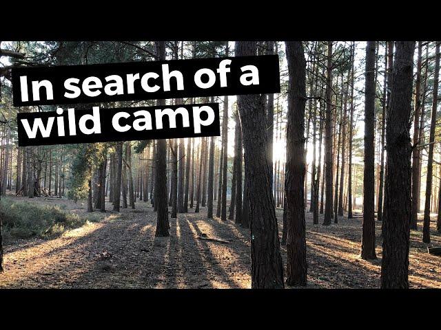 Lost in the Woods: A Wild Camp Recce | Surrey | Last Video of 2019