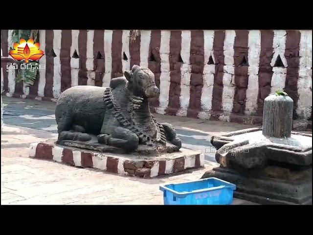 గోలింగేశ్వర స్వామి ఆలయం ,బిక్కవోలు | Three Shiva Temples at a place | Daiva Darshanam |