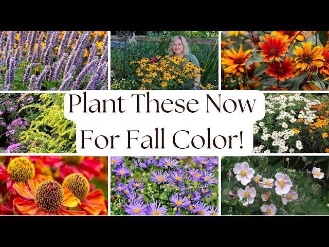 13 Perennial Plants You're Probably Not Growing, But Should Be For Vibrant Late Summer & Fall Color