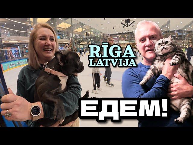 Едем в Ригу к бабушке и котам / ТЦ "Akropole" и Женский хоккей / ЛАТВИЯ