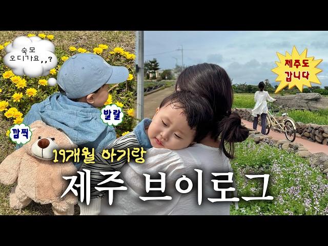 19개월 아기랑 제주도 가족 여행 vlog l 장난감 많은 숙소•유아 동반 맛집/카페 추천•가족 스냅•새별프렌즈•서쪽 여행코스