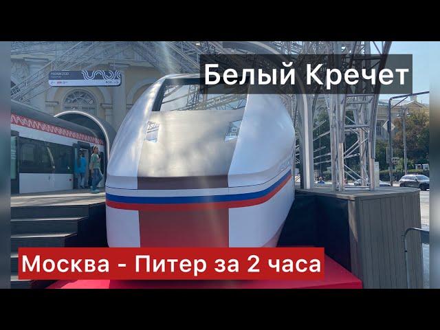 Поезд «Белый Кречет» из Москвы в Питер за 2 часа