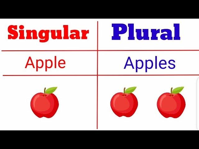 English Singular And Plural Part 1/// Learn English with pictures