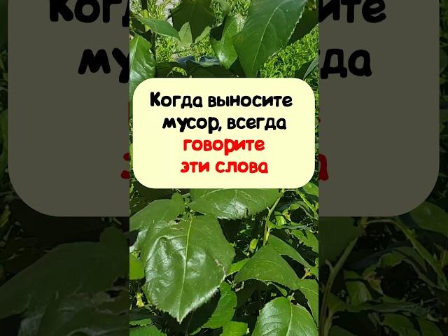 Когда выносите мусор, всегда говорите эти слова