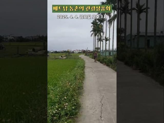 [농촌생활] 베트남 농촌의 관광상품화