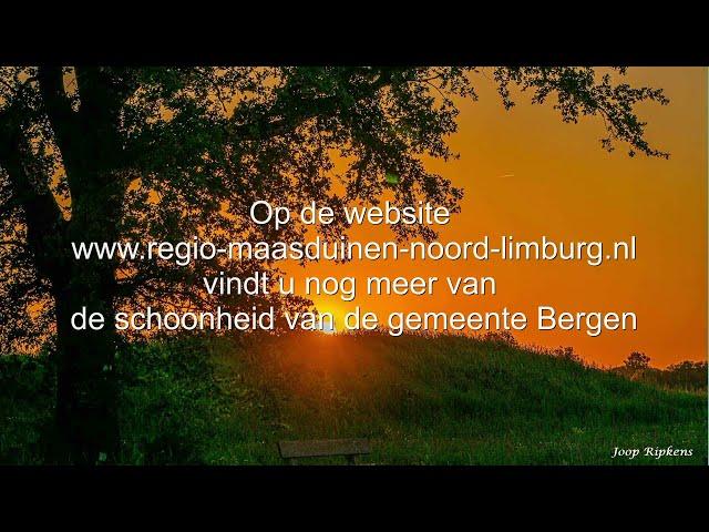 www.regio-maasduinen-noord-limburg.nl door de ogen van Joop Ripkens uit Bergen L.