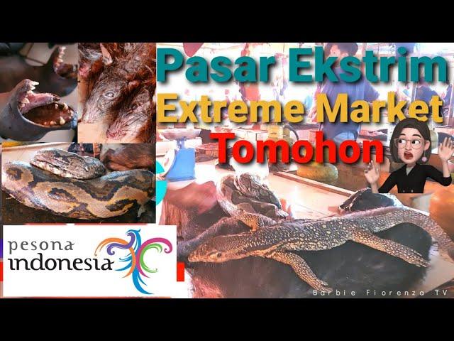 Pasar Extreme Tomohon  Sulawesi Utara | Berbagai Hewan Extreme Ada Disini !!!