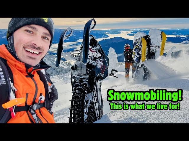 Every Snowmobilers Dream Day!  Deep Snow / Tree Riding / and Sunshine!