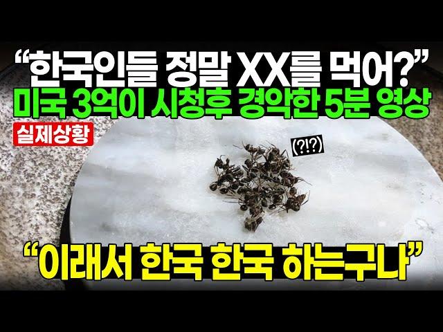 “한국인들 정말 XX를 먹어?” 미국 3억이 시청후 경악한 5분 영상