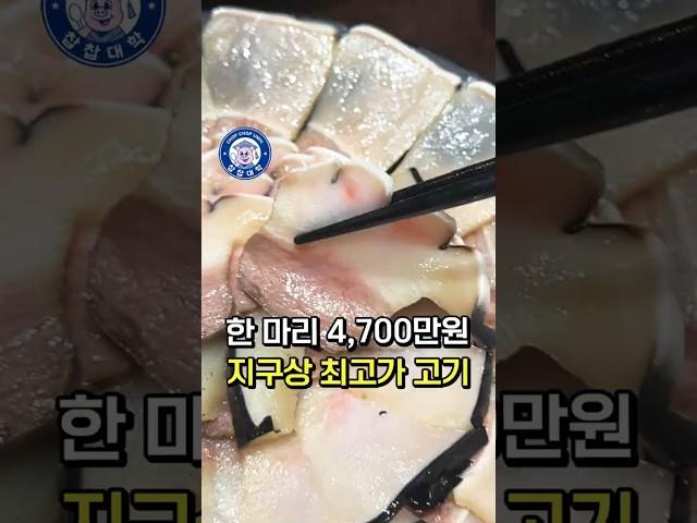 1마리 4,700만원, 지구상 최고가 고기 솔직 후기