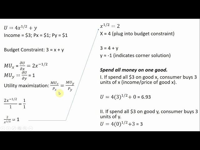 Utility Maximization: A Corner Solution