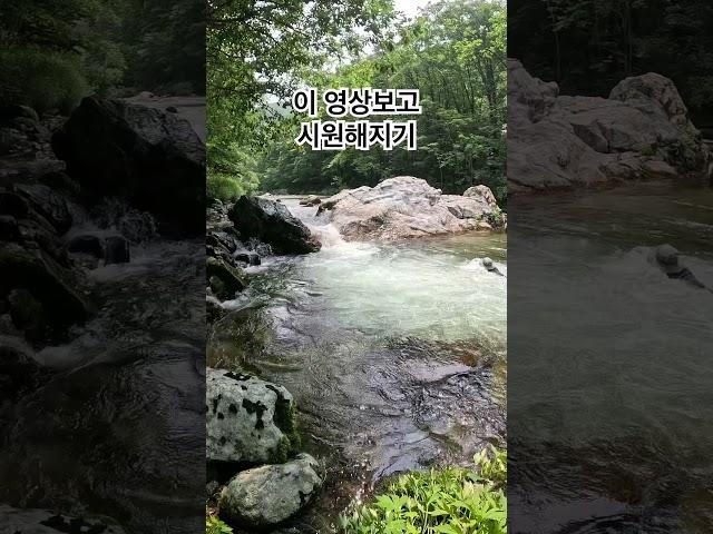 시원해지는 영상 #강원도계곡 #아침가리계곡트레킹 #아침가리계곡 #여름휴가
