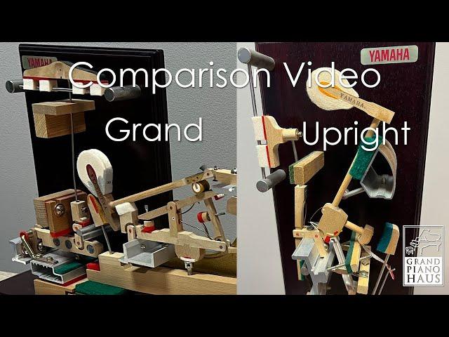 Piano Action Comparison - Grand vs. Upright (Vertical)