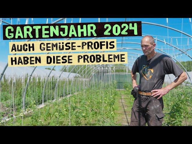 Erfolge und Misserfolge im Garten. Warum Selbstversorgung 2024 nicht einfach ist. Gemüsegarten Juli