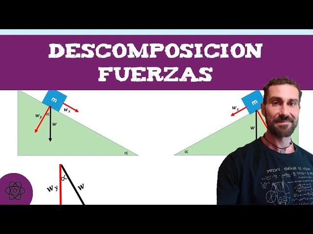 Dinámica 3 ‍️ Descomposición de Fuerzas