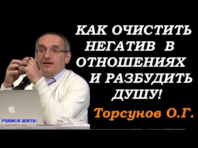 Как очистить негатив в отношениях и разбудить Душу. Учимся жить. Торсунов О.Г.