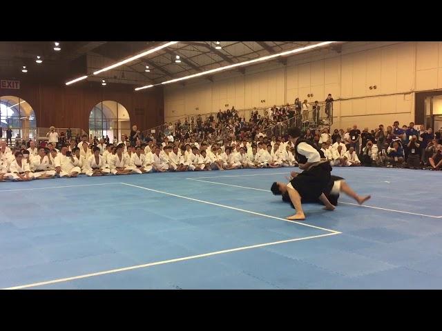 2017 Shorinji Kempo International Taikai Kumi Embu Performance