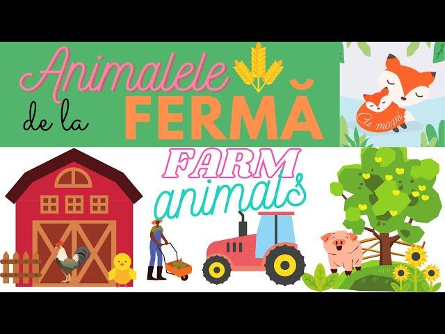 Engleza pentru copii - Animale domestice - English for kids - farm animals