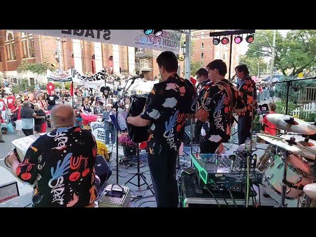 Polka Family - Young Bachelor - Roncesvalles Polish Festival - 2023