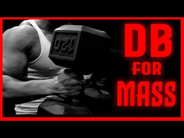 Dumbbell Press For a Massive Chest!