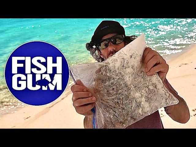 Could This Change The Way Surf Fisherman Buy Bait? OP Bait Soak in BULK.