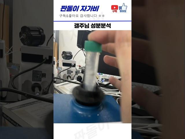 여름엔 갤주가 있어 행복한 모기갤러리 5#