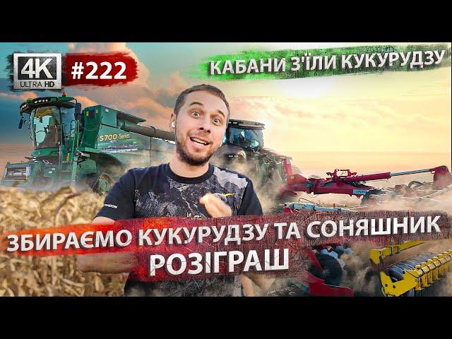 Кабанизʼїли кукурудзуМолотимо соняхВперше сіємо жито на сінаж|РОЗІГРАШ