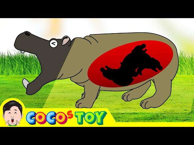 My african animals have given birth!｜Animals name, Kidstoon｜CoCosToy